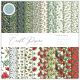 Craft Consortium Double Sided Paper Pad 6 Inch X6 Inch 40 Per Pkg Festive Flora 20 Designs
