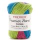 Premier Yarns Home Cotton Yarn Multi Rainbow Stripe Pack of 1 Skein