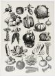 Dress My Craft Transfer Me Sheet A4 Vintage Vegetables 1