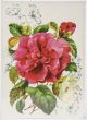 Dress My Craft Transfer Me Sheet A4 Pink Blossom