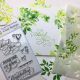 Crafters Workshop Slimline Stencil 4 inch X9 inch Gentle Leaves