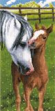 Vervaco Counted Cross Stitch Kit 8 Inch X16 Inch Horse and Foal on Aida 14 Count