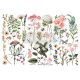 Prima Marketing Re Design Decor Transfers 6 Inch X12 Inch 3 Botanical Paradise