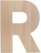 Hampton Art Chunky Wood Letter 8 inch R