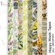 Dress My Craft Transfer Me Sheet A4 Happy Washi Tapes