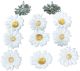 Eyelet Outlet Shape Brads 12 Per Pkg White Daisy