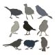 Sizzix Thinlits Dies By Tim Holtz 9 Per Pkg Silhouette Birds