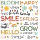 Full Bloom Foam Stickers 35 Per Pkg