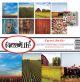 Reminisce Collection Kit 12 inch X12 inch Farm Life