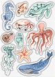 Craft Consortium A5 Clear Stamps Sea Life