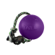 Jollypet Romp n Roll S 4.5 Inch Purple