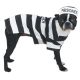 Casual Canine Prison Pooch Costumes Large