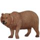 Bear Grizzly