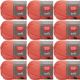 Spinrite Red Heart Soft Yarn Coral Pack of 12 Skein