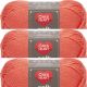 Spinrite Red Heart Soft Yarn Coral Pack of 3 Skein