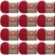 Spinrite Red Heart Scrubby Yarn Cherry Pack of 12 Skein