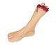 Severed Foot