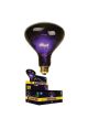 Mushroom Backlight Bulb 100 Watt