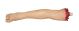 Severed Leg