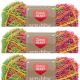 Spinrite Red Heart Scrubby Yarn Tropical Pack of 3 Skein