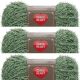 Spinrite Red Heart Scrubby Yarn Green Tea Pack of 3 Skein