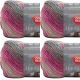 Spinrite Red Heart Unforgettable Yarn Heirloom Pack of 4 Skein