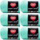 Spinrite Red Heart Super Saver Yarn Minty Pack of 6 Skein