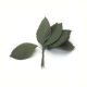 Large Rose Leaf Green 1 1/2 X 3 Inches