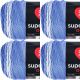 Spinrite Red Heart Super Saver Ombre Yarn Baja Blue Pack of 4 Skein