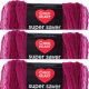 Spinrite Red Heart Super Saver Ombre Yarn Anemone Pack of 3 Skein