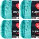 Spinrite Red Heart Super Saver Ombre Yarn Spearmint Pack of 4 Skein