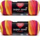 Spinrite Red Heart Super Saver Yarn Fruity Stripe Pack of 2 Skein