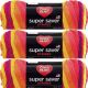 Spinrite Red Heart Super Saver Yarn Fruity Stripe Pack of 3 Skein