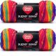 Spinrite Red Heart Super Saver Yarn Favorite Stripe Pack of 2 Skein