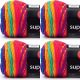 Spinrite Red Heart Super Saver Yarn Favorite Stripe Pack of 4 Skein