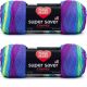 Spinrite Red Heart Super Saver Yarn Parrot Stripe Pack of 2 Skein