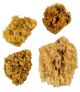 Royal Langnickel Artist Wool Sponge Set