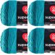 Spinrite Red Heart Super Saver Ombre Yarn Deep Teal Pack of 4 Skein