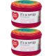 Spinrite Red Heart It s A Wrap Rainbow Yarn Fiesta Pack of 2 Skein