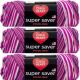Spinrite Red Heart Super Saver Pooling Yarn Berry Pack of 3 Skein