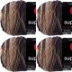 Spinrite Red Heart Super Saver Ombre Yarn Hickory Pack of 4 Skein