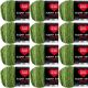 Spinrite Red Heart Super Saver Ombre Yarn Green Apple Pack of 12 Skein