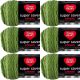 Spinrite Red Heart Super Saver Ombre Yarn Green Apple Pack of 6 Skein