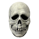 Trick Or Treat Studios Halloween III Season Of The Witch Glow In The Dark Skull Mask