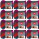 Spinrite Red Heart Unforgettable Yarn Gotham Pack of 12 Skein