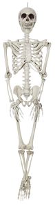 Skeleton 20Inches