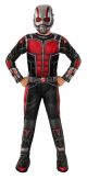 Boy S Kids Ant Man Costume Medium