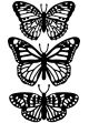 Embossing Folder Butterfly Trio 4.25 X 5.75 Inches