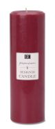 Pillar Candle Dark Red Apple Cinnamon 2.8 X 8.8 Inches