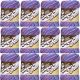 Spinrite Lily Sugar n Cream Yarn Ombres Jewels Pack of 12 Skein